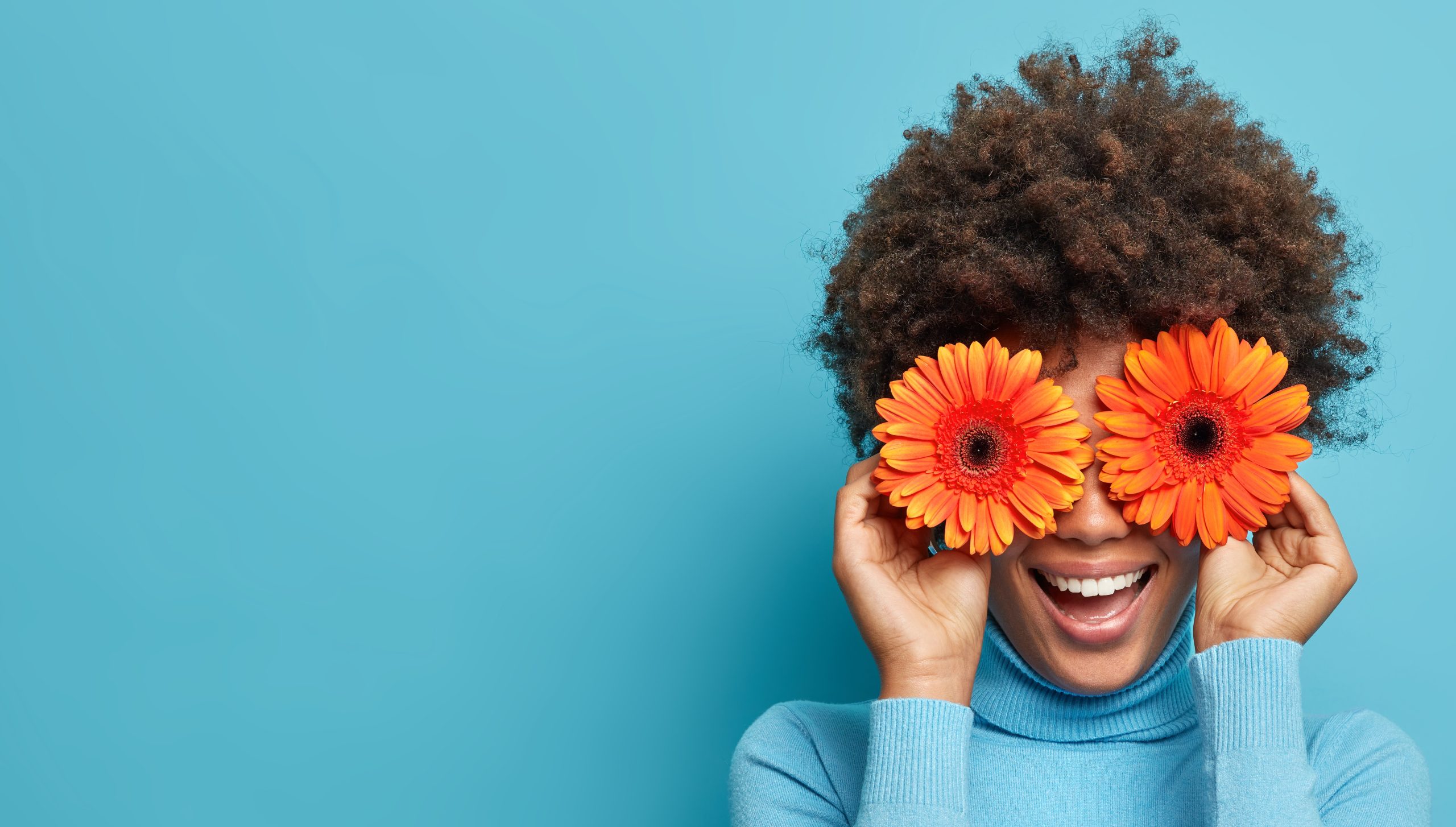 Playful positive African American woman covers eyes with two orange gerberas, enjoys spring time, fresh flowers, has fun, dressed casually, isolated on blue background. Happy florist indoor. Playful positive African American woman covers eyes with two orange gerberas, enjoys spring time, fresh flowers, has fun, dressed casually, isolated on blue background. Happy florist indoor.